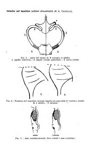 La pediatria del medico pratico