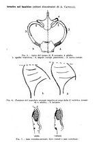 giornale/TO00190802/1927/unico/00000803