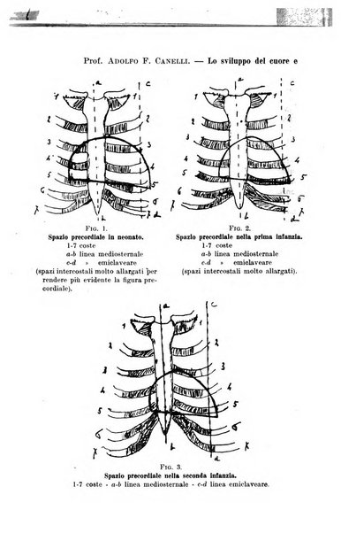 La pediatria del medico pratico