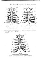 giornale/TO00190802/1928-1929/unico/00000190