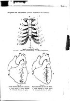 giornale/TO00190802/1928-1929/unico/00000191