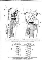 giornale/TO00190802/1928-1929/unico/00000337