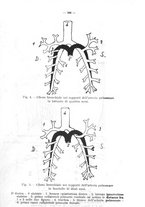 giornale/TO00190802/1928-1929/unico/00000338