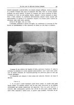 giornale/TO00190802/1932/unico/00000105