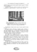 giornale/TO00190802/1933/unico/00000027