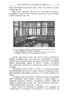 giornale/TO00190802/1933/unico/00000045