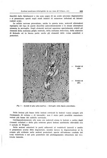 La pediatria del medico pratico