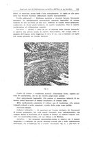 giornale/TO00190802/1933/unico/00000763