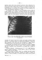 giornale/TO00190802/1946/unico/00000493