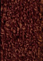 giornale/TO00190825/1940/unico/00000001