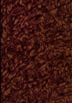 giornale/TO00190825/1942/unico/00000001