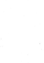 giornale/TO00190827/1894/v.2/00000003