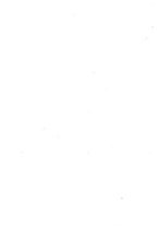 giornale/TO00190827/1894/v.3/00000003