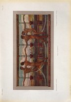 giornale/TO00190840/1909/Unico/109