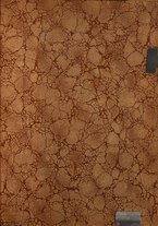 giornale/TO00190840/1909/Unico/207