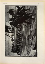 giornale/TO00190840/1910/Unico/105