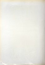 giornale/TO00190840/1910/Unico/208