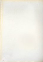 giornale/TO00190840/1910/Unico/286