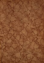 giornale/TO00190840/1911/Unico/3