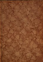 giornale/TO00190840/1912/Unico/3