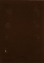 giornale/TO00190840/1912/Unico/41