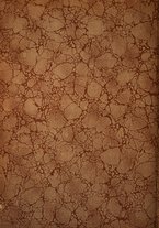 giornale/TO00190840/1913/Unico/176