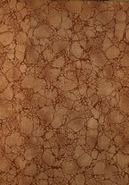 giornale/TO00190840/1913/Unico/177