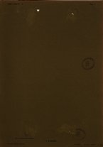 giornale/TO00190840/1913/Unico/21