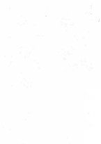 giornale/TO00190841/1932/unico/00000003