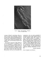 giornale/TO00190841/1935/unico/00000033