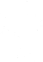 giornale/TO00190841/1936/unico/00000030