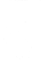 giornale/TO00190841/1936/unico/00000059