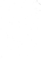 giornale/TO00190847/1942/unico/00000003