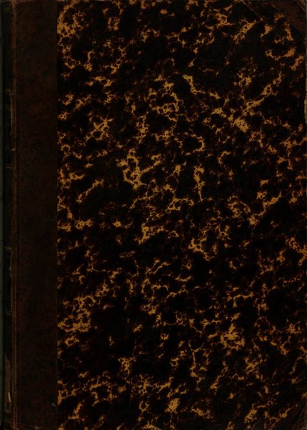 Periodico della Societa storica per la provincia e antica diocesi di Como