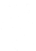 giornale/TO00190859/1880/v.2/00000010