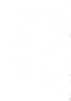 giornale/TO00190859/1884/v.4/00000078