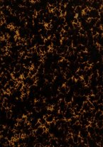 giornale/TO00190859/1889/v.7/00000001