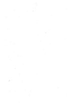 giornale/TO00190859/1908/v.18/00000004