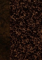 giornale/TO00190859/1914/v.21/00000001