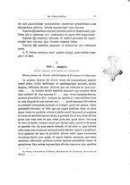 giornale/TO00190859/1914/v.21/00000027