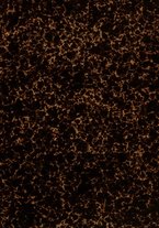 giornale/TO00190859/1921/v.24/00000001