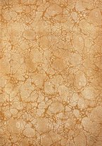 giornale/TO00190859/1921/v.24/00000003