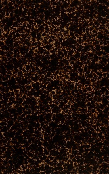 Periodico della Societa storica per la provincia e antica diocesi di Como