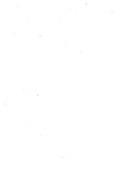 Periodico di matematica per l'insegnamento secondario