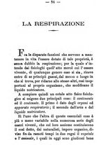 giornale/TO00191082/1871/unico/00000044