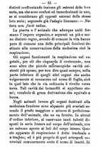 giornale/TO00191082/1871/unico/00000045