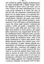 giornale/TO00191082/1871/unico/00000046