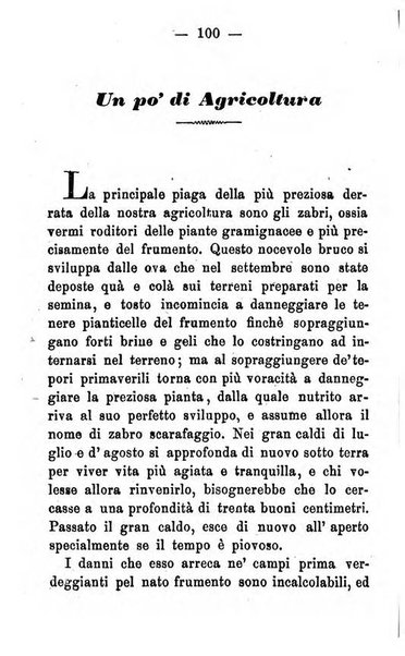 Pierpaolo strenna per l'anno ...