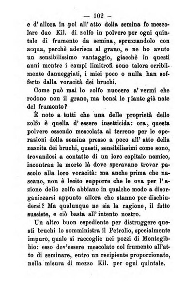 Pierpaolo strenna per l'anno ...