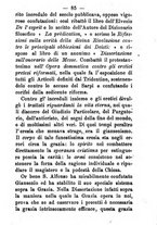 giornale/TO00191082/1872/unico/00000095